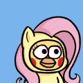 wn81