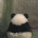梭哈帝